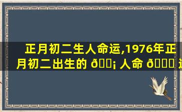 正月初二生人命运,1976年正月初二出生的 🐡 人命 🐅 运